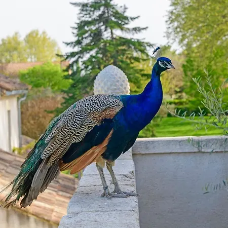 Bastide De Bellegarde 2*